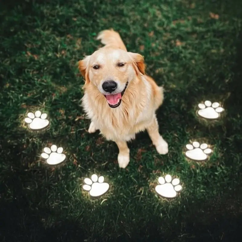 PawGlow - Kültéri LED-es Napelemes Kerti Mancsvilágítás